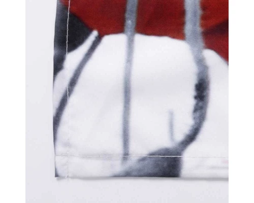 Штора для ванной WasserKraft  SC-47101 180 x 200 см навесная