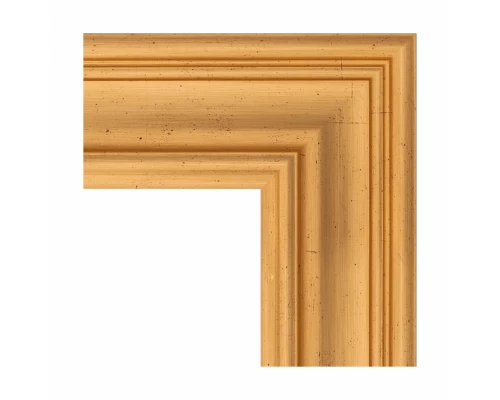 Зеркало в багетной раме Evoform Exclusive Floor BY 6127 84 x 204 см, травленое золото