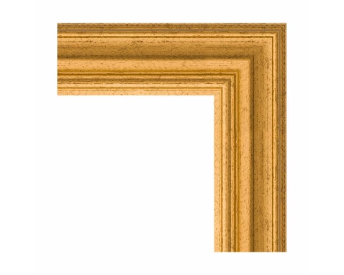 Зеркало с гравировкой в багетной раме Evoform Exclusive-G BY 4087 62 x 85 см, состаренное золото