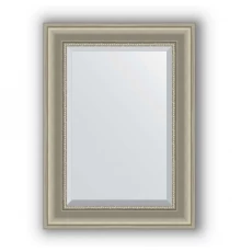Зеркало в багетной раме Evoform Exclusive BY 1225 56 x 76 см, хамелеон