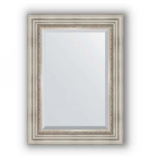 Зеркало в багетной раме Evoform Exclusive BY 1227 56 x 76 см, римское серебро