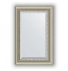Зеркало в багетной раме Evoform Exclusive BY 1235 56 x 86 см, хамелеон