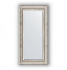 Зеркало в багетной раме Evoform Exclusive BY 1247 56 x 116 см, римское серебро
