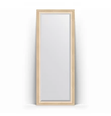 Зеркало в багетной раме Evoform Exclusive Floor BY 6110 80 x 200 см, старый гипс