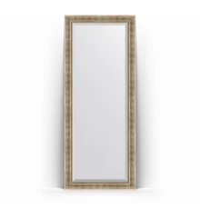 Зеркало в багетной раме Evoform Exclusive Floor BY 6121 82 x 202 см, серебряный акведук