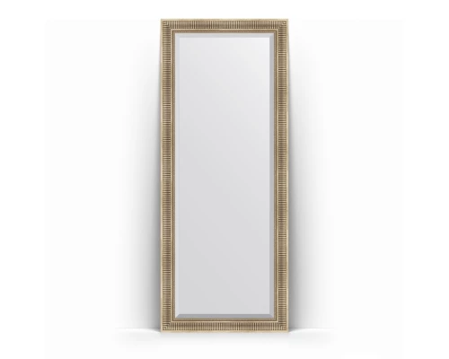 Зеркало в багетной раме Evoform Exclusive Floor BY 6121 82 x 202 см, серебряный акведук