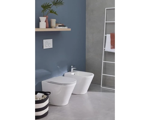 Биде Jacob Delafon Rodin+, напольное EBJ0002-00