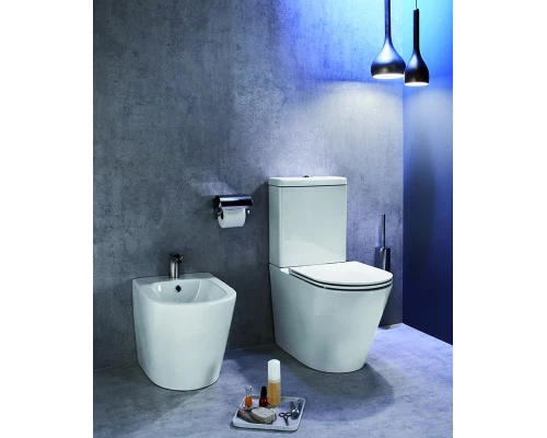 Биде Jacob Delafon Rodin+, напольное EBJ0002-00