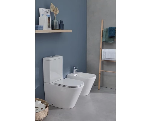 Биде Jacob Delafon Rodin+, напольное EBJ0002-00