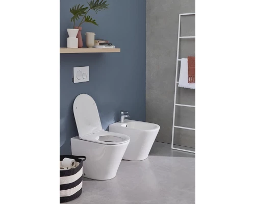 Биде Jacob Delafon Rodin+, напольное EBJ0002-00