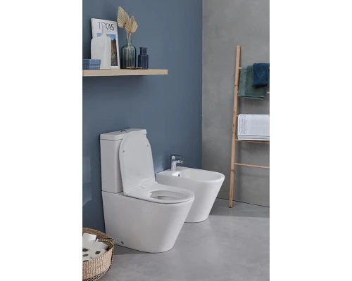 Биде Jacob Delafon Rodin+, напольное EBJ0002-00