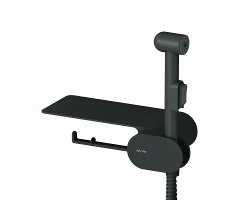 Гигиенический душ Am.Pm Like, со смесителем, черный матовый, F0202622