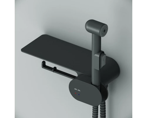 Гигиенический душ Am.Pm Like, со смесителем, черный матовый, F0202622
