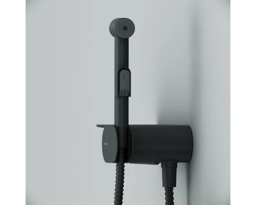 Гигиенический душ Am.Pm Like, со смесителем, черный матовый, F0202622