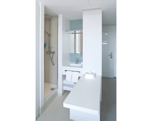 Ручной душ Grohe Euphoria (27222000/27223000)