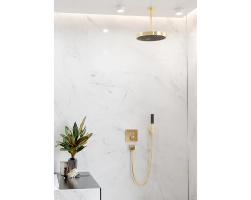 Ручной душ Hansgrohe Rainfinity 100 26866990, 1 тип струи, золото