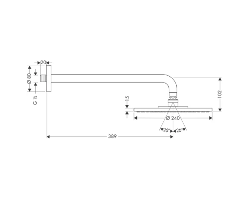 Верхний душ Hansgrohe Raindance S, 24х24 см, 1 режим струи, с держателем, хром, 27474000