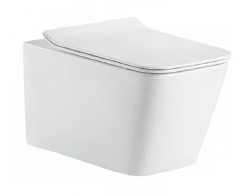 Подвесной унитаз Bravat Manno C21201UW-RUS сиденье с микролифтом, белый