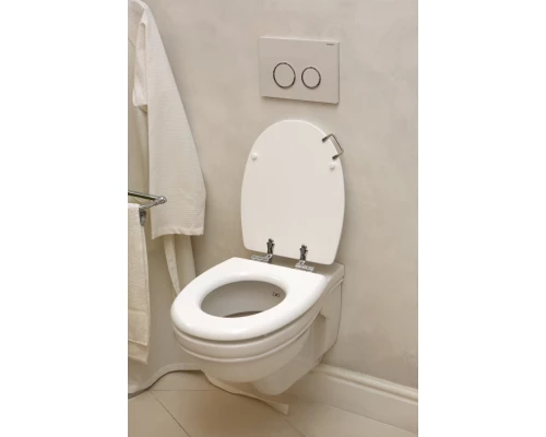 Подвесной унитаз Devon&Devon Rose IBWCSRO