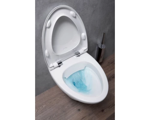 Подвесной унитаз Jacob Delafon Nouvelle Vague EDJ102-00, безободковый