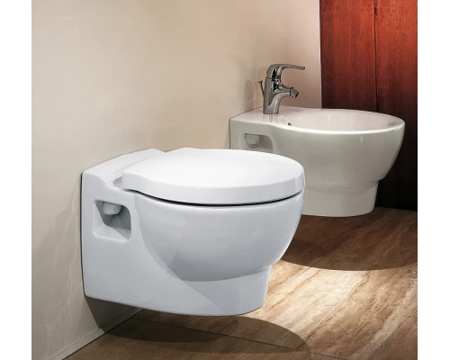 Подвесной унитаз Jacob Delafon Ove в комплекте с сиденьем E70005 SoftClose, E1585-00 (GM)