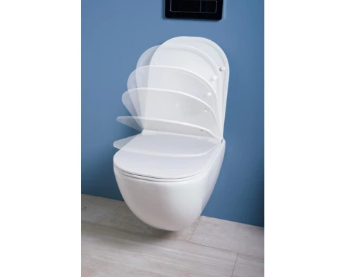 Подвесной унитаз Laufen Basal Combipack безободковый, крышка микролифт, крепление Easyfit, белый, 8.66E1.0.000.000.1