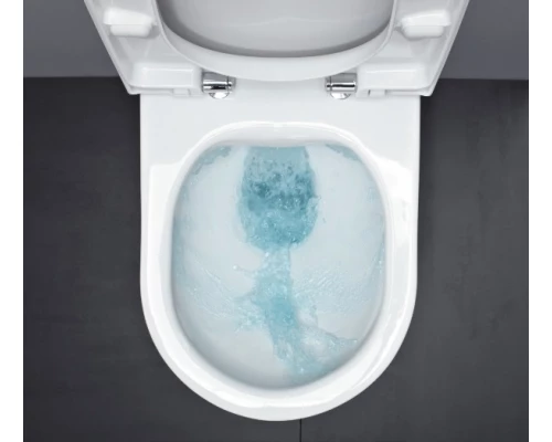 Подвесной унитаз Laufen Pro Rimless 8.2096.6.000.000.1, безободковый