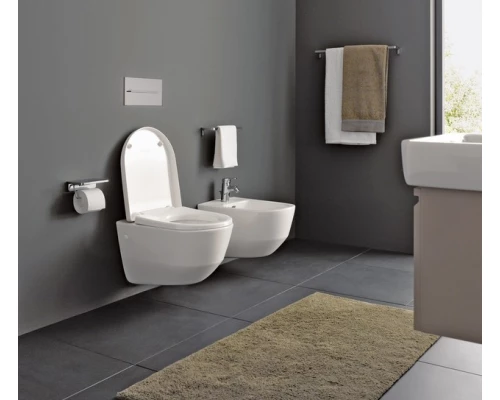 Подвесной унитаз Laufen Pro Rimless 8.2096.6.000.000.1, безободковый