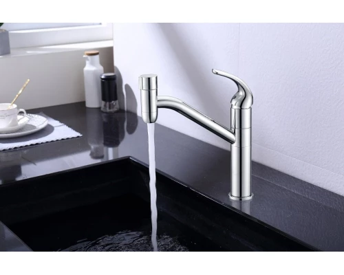 103.058 Смеситель для кухни