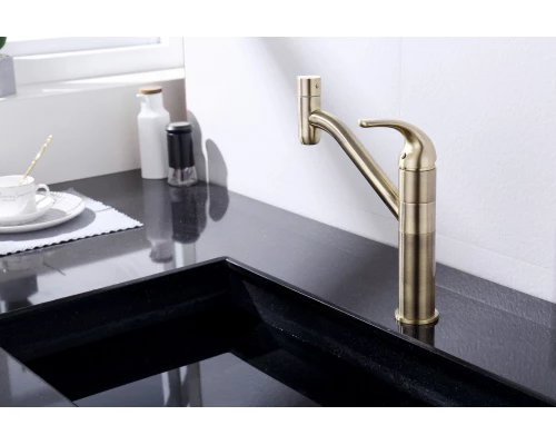 103.258 Смеситель для кухни