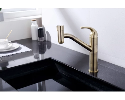 103.258 Смеситель для кухни