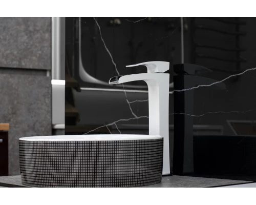 10.113 Смеситель для раковины