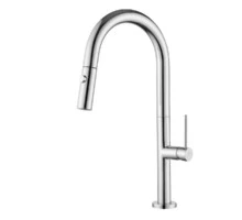 Смеситель для кухни KAISER Merkur 26466