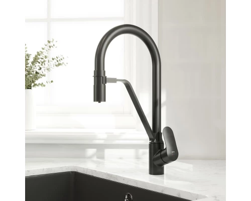 Смеситель для кухни Am.Pm Like с каналом для питьевой воды, гибкий излив, черный, F8007822