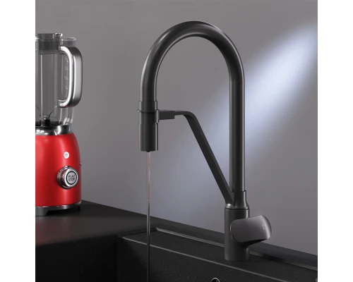 Смеситель для кухни Am.Pm Like с каналом для питьевой воды, гибкий излив, черный, F8007822