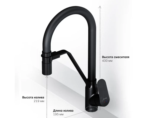 Смеситель для кухни Am.Pm Like с каналом для питьевой воды, гибкий излив, черный, F8007822