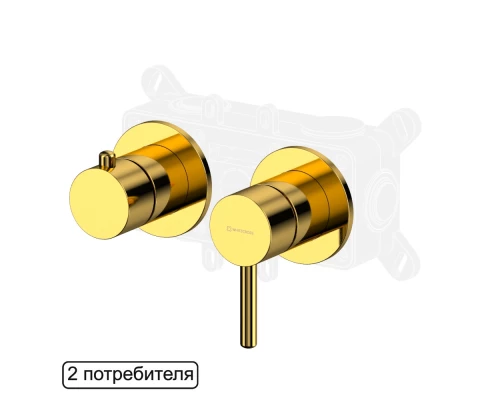 Смеситель для душа скрытого монтажа WHITECROSS Y Y1242GL (золото)
