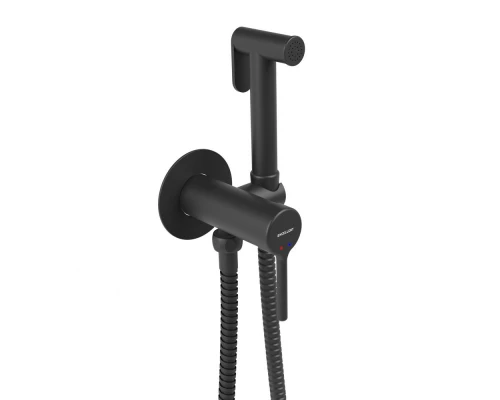 Смеситель для биде скрытого монтажа EXCELLENT Pi AREX.1204BL (черный мат) Elit-san.ru