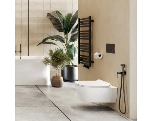 Смеситель для биде скрытого монтажа EXCELLENT Pi AREX.1204BL (черный мат) Elit-san.ru