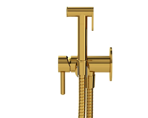 Система для биде скрытого монтажа WHITECROSS Y SYSYBI2GL (золото) Elit-san.ru