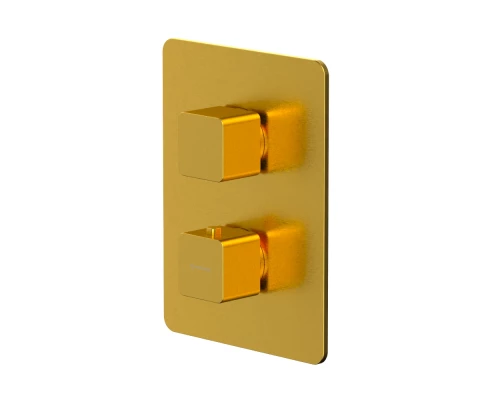 Смеситель термостатический для душа скрытого монтажа WHITECROSS X X1436GLB (брашированное золото)