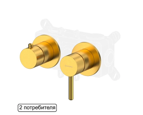 Смеситель для душа скрытого монтажа WHITECROSS Y Y1242GLB (брашированное золото)