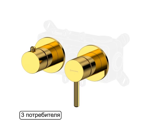 Смеситель для душа скрытого монтажа WHITECROSS Y Y1243GL (золото)