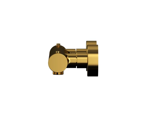 Смеситель термостатический для душа WHITECROSS Y Y1246GL (золото) Elit-san.ru