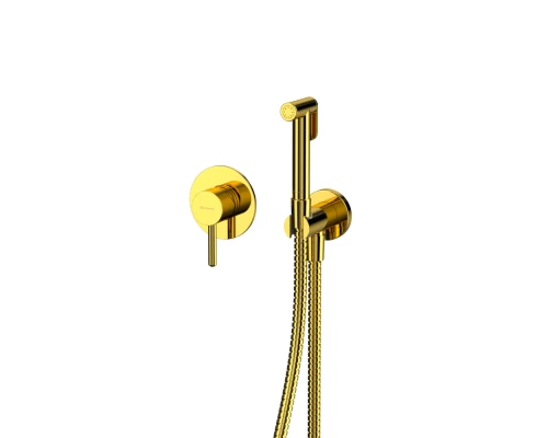 Система для биде скрытого монтажа WHITECROSS Y SYSYBI1GL (золото)