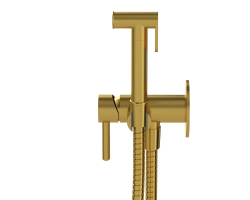 Система для биде скрытого монтажа WHITECROSS Y SYSYBI2GLB (брашированное золото) Elit-san.ru