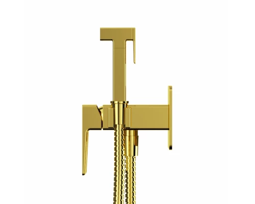 Система для биде скрытого монтажа WHITECROSS X SYSXBI2GL (золото)