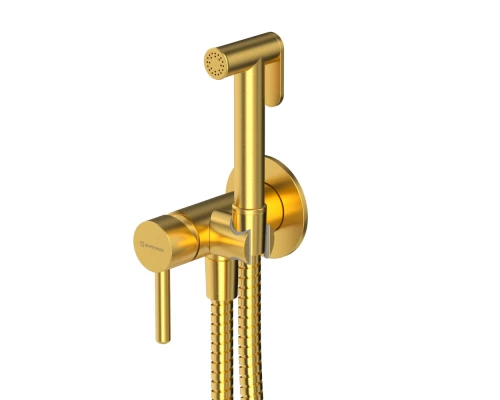 Система для биде скрытого монтажа WHITECROSS Y SYSYBI2GLB (брашированное золото)