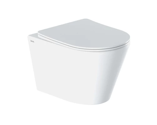 Унитаз подвесной безободковый IDDIS Destino (DESRDSEi25)