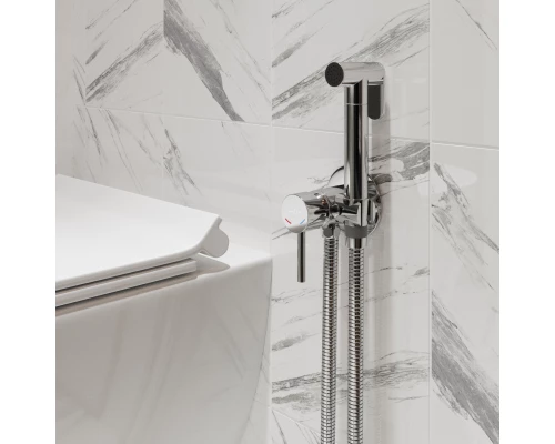 Смеситель с гигиенической лейкой MIXLINE ML31-081 "Ray" встраиваемый (551785)